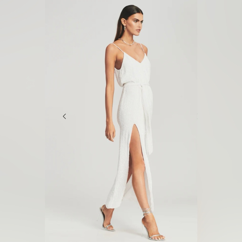 Retrofete Sequined Chiffon Maxi Dress